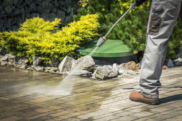 Best Soft Washing  in Westwego, LA