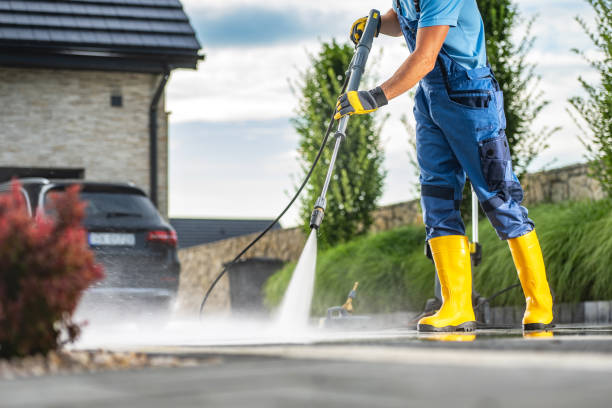 Best Solar Panel Cleaning  in Westwego, LA